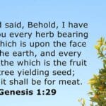 Génesis 1:29 Significado de Os he dado toda hierba que da semilla