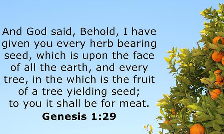 Génesis 1:29 Significado de Os he dado toda hierba que da semilla