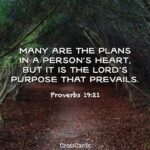 Proverbios 19:21 Significado De Muchos Son Los Planes En El Corazón Del Hombre