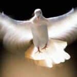 Entristecer Al Espíritu Santo. Qué Significa Y Consecuencias