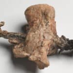Pruebas de la crucifixión de Jesús: Evidencia arqueológica