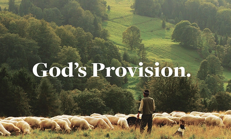 La provisión de Dios