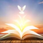 6 Escrituras Bíblicas Alentadoras Sobre Ser Santo