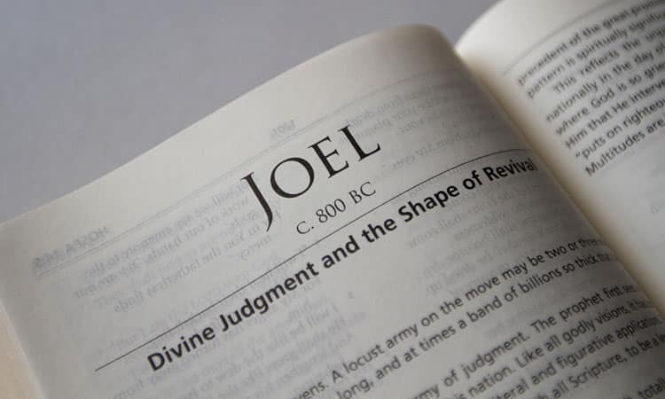 Explicación Del Libro De Joel