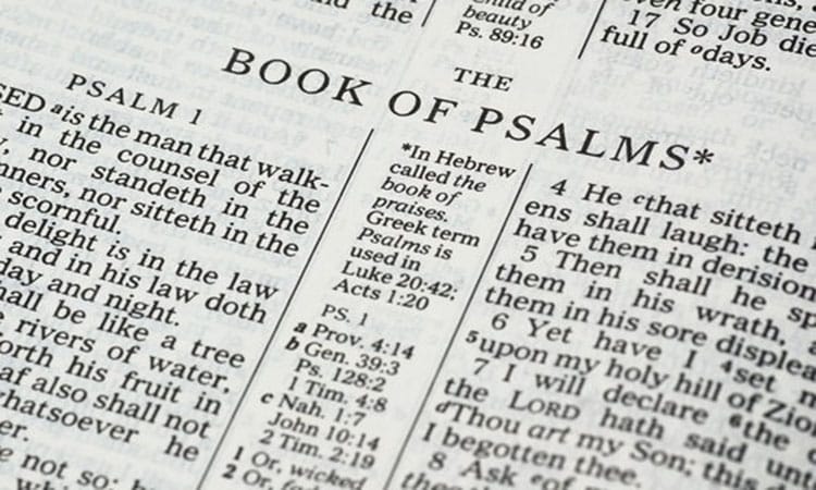 Explicación y mensaje del libro de los Salmos
