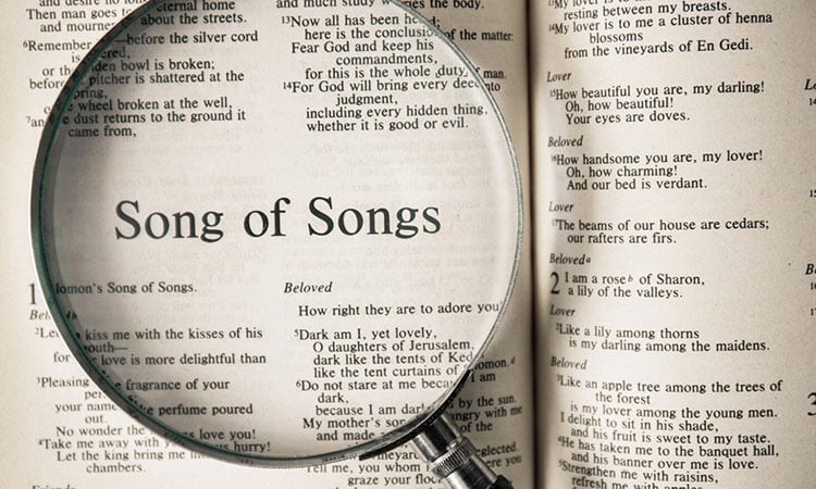 Libro de Cantar de Los Cantares