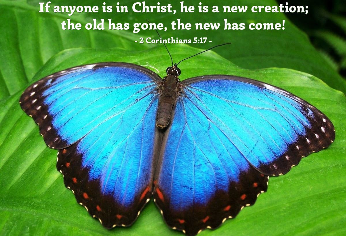 Si Alguno Está En Cristo, Nueva Criatura Es significado
