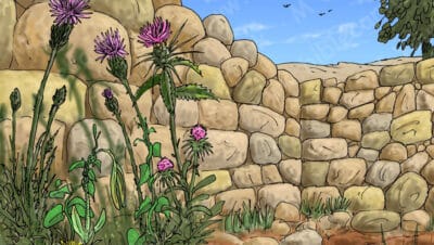 La planta que crece y muere en la parábola del sembrador