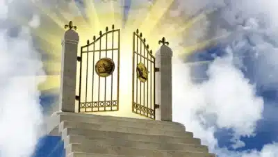 Parabola de la puerta estrecha